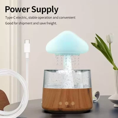 rain-cloud-humidifier-